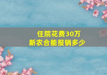 住院花费30万 新农合能报销多少